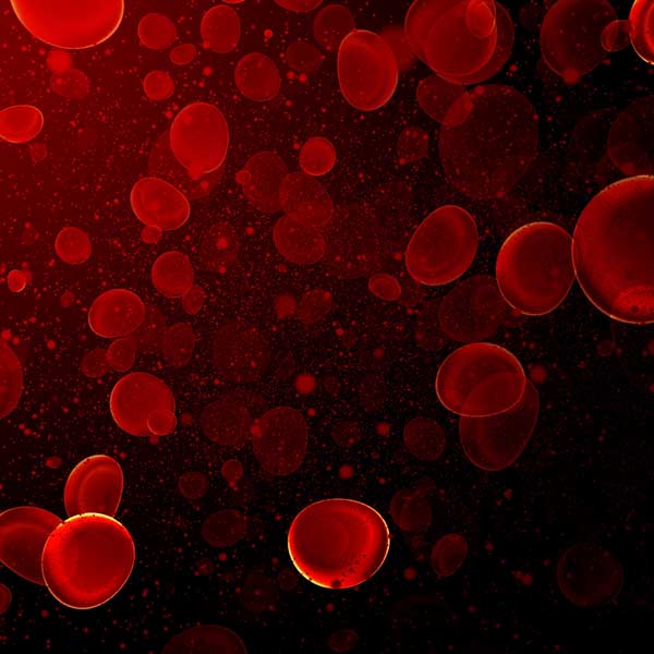 微镜化血细胞