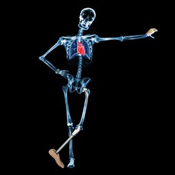 生物医学工程-Skeleton