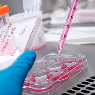 生物医学测试管线菜和粉红色解法